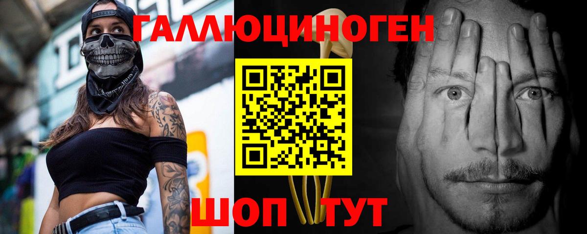 Псилоцибиновые грибы Psilocybine cubensis Мирный